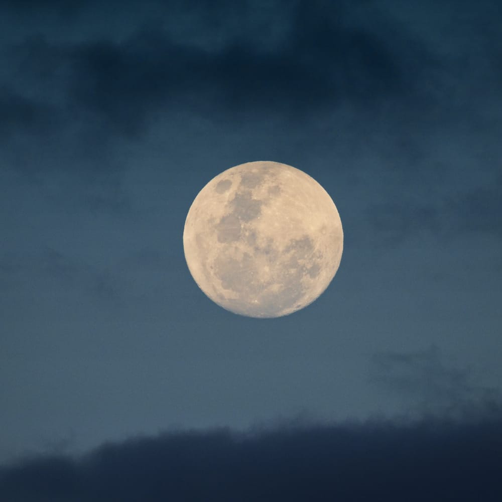 Blue moon post image