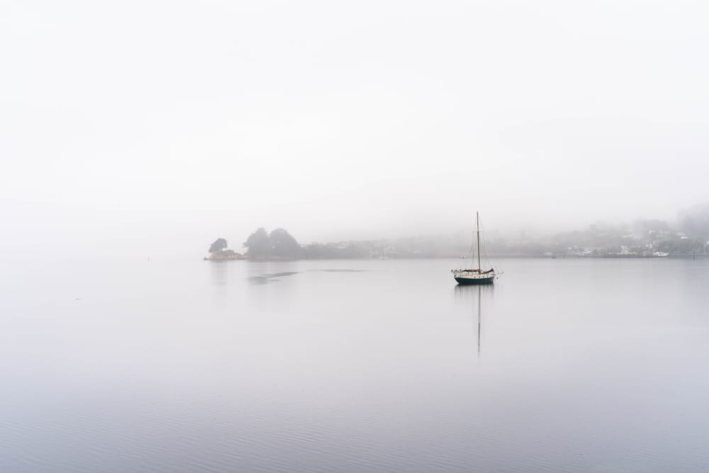 Boat and fog post image