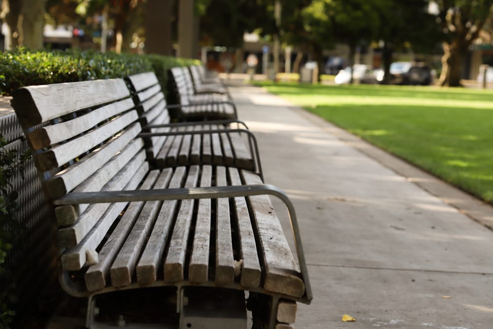 An empty bench in the park post image