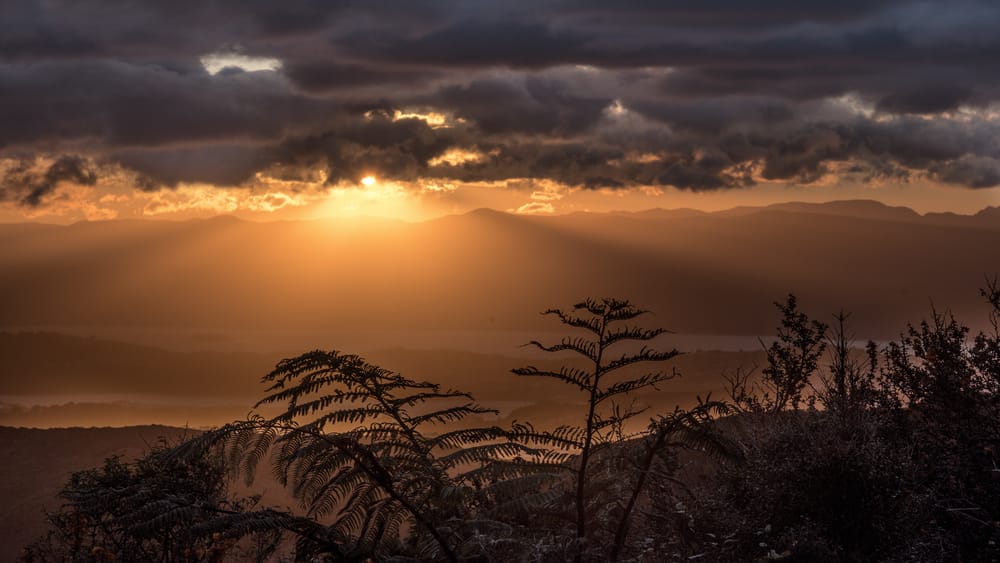 Hawkins Hill sunrise, Wellington post image