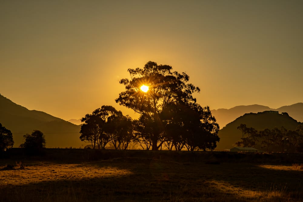 Inland from Kaikoura post image