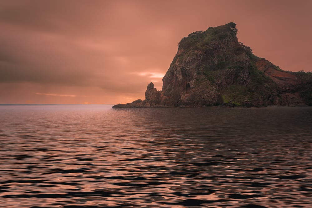 Lion Rock, Piha post image