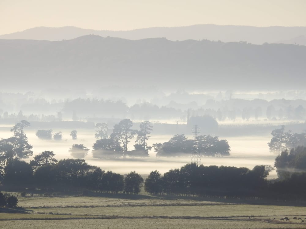 Misty morning post image