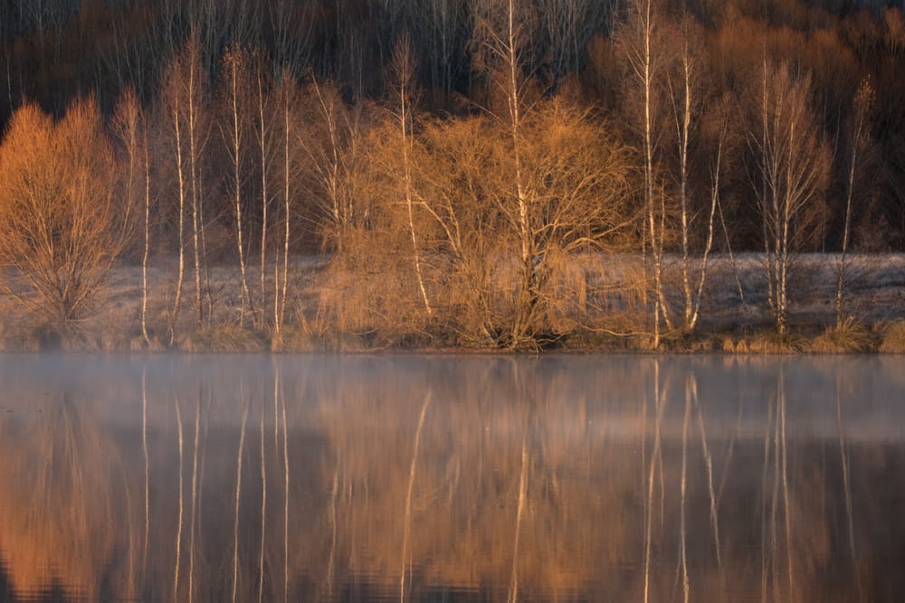 Morning fog over the lake post image