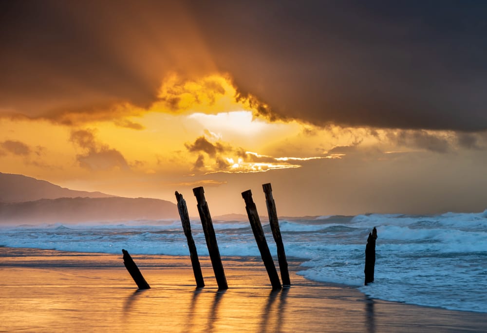 Sunrise, St Clair beach, Dunedin post image