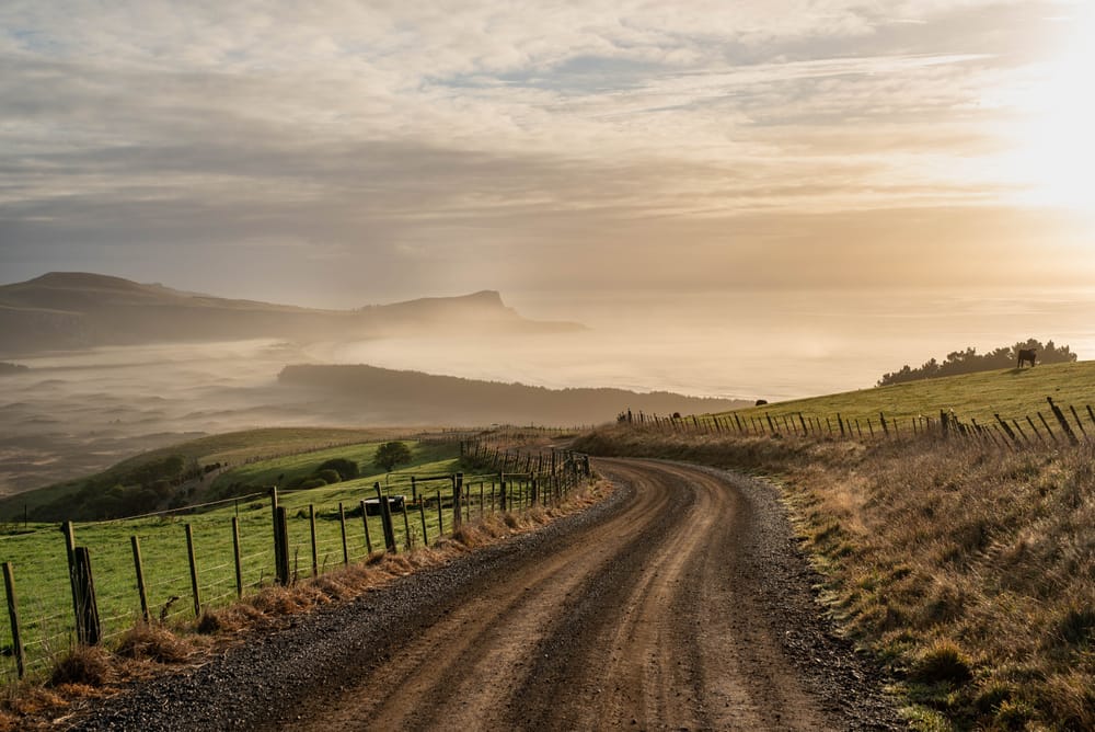 The road to Cape Saunders post image