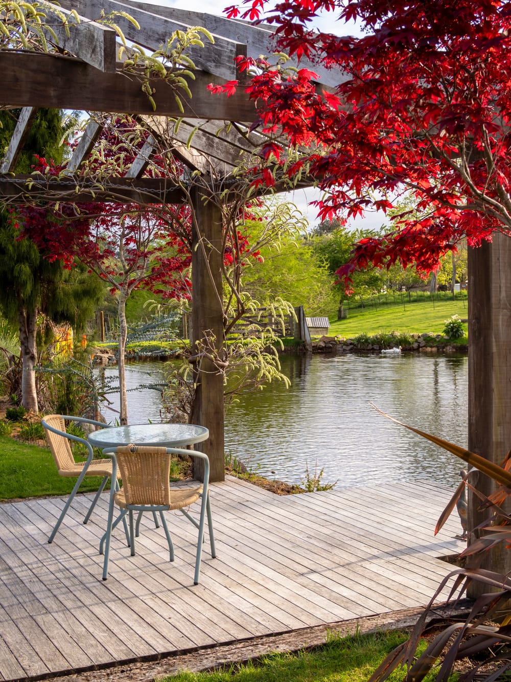 Fresh garden flowers pond pergola post image