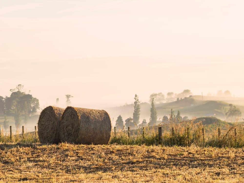 Round hay bails field post image