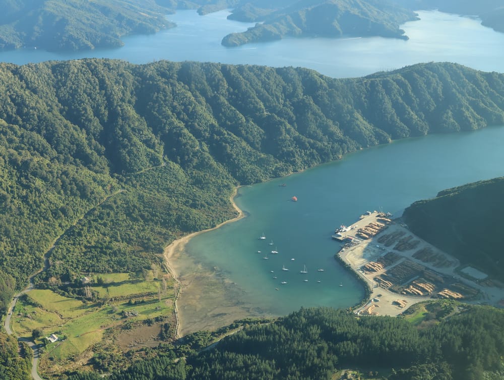 Shakespeare Bay, Log Terminal post image