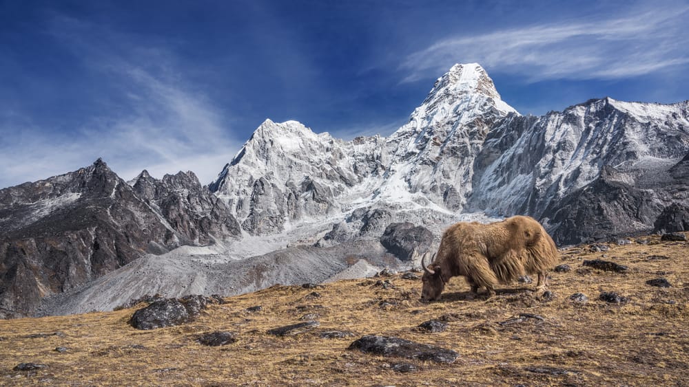 Ama Dablam post image