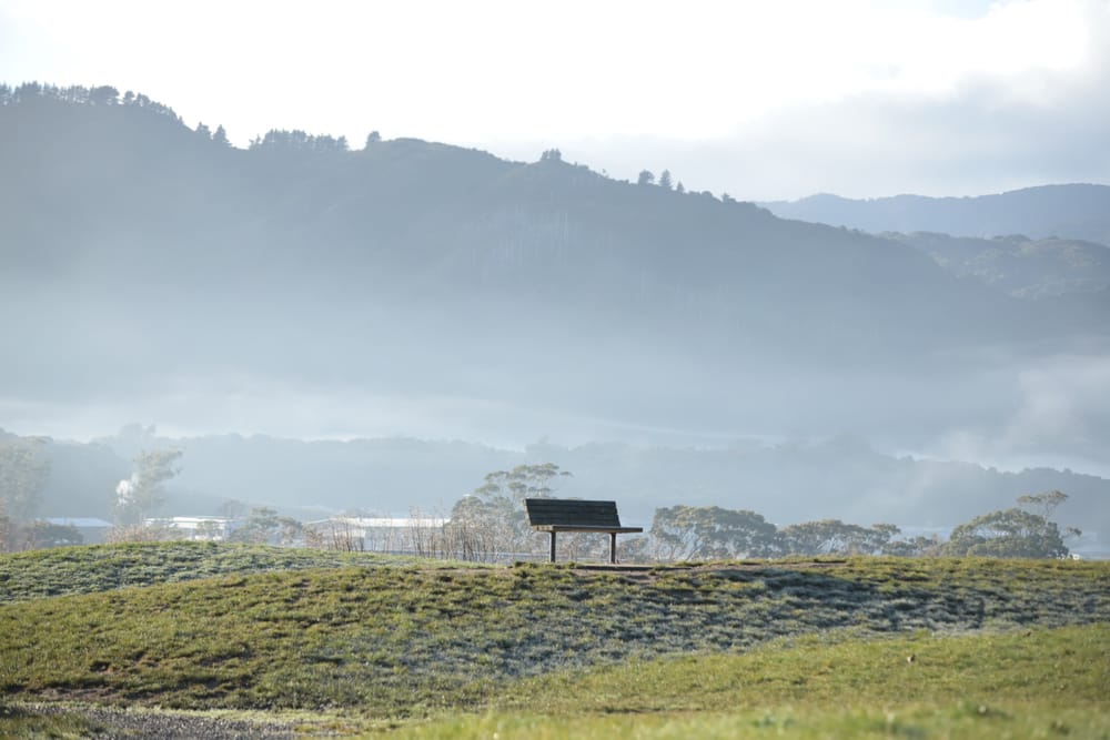 Bench & Misty Hillside View post image