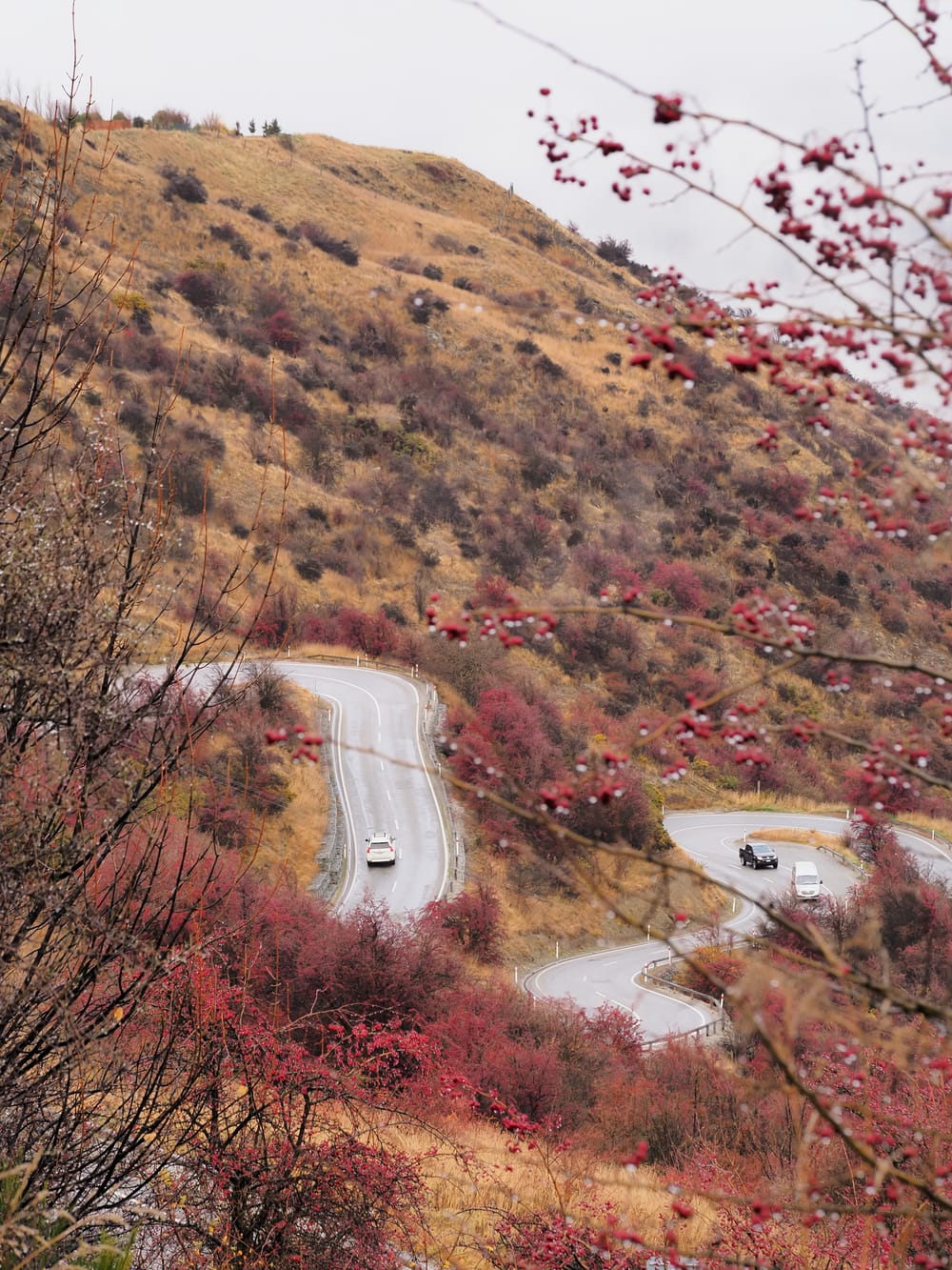 Crown Range Road Otago post image