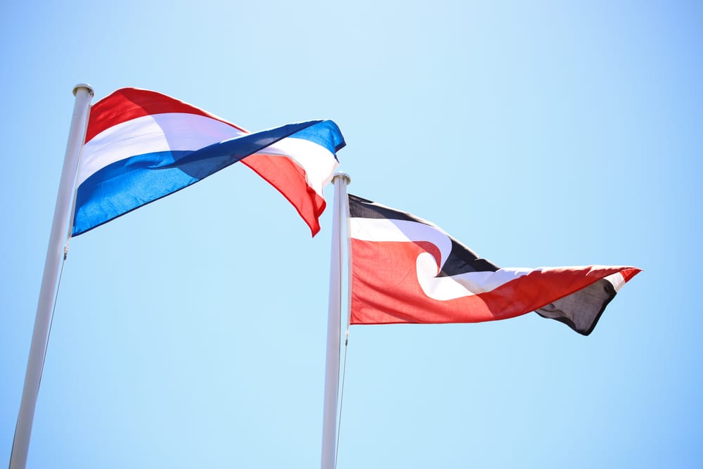 Flags in Motion post image