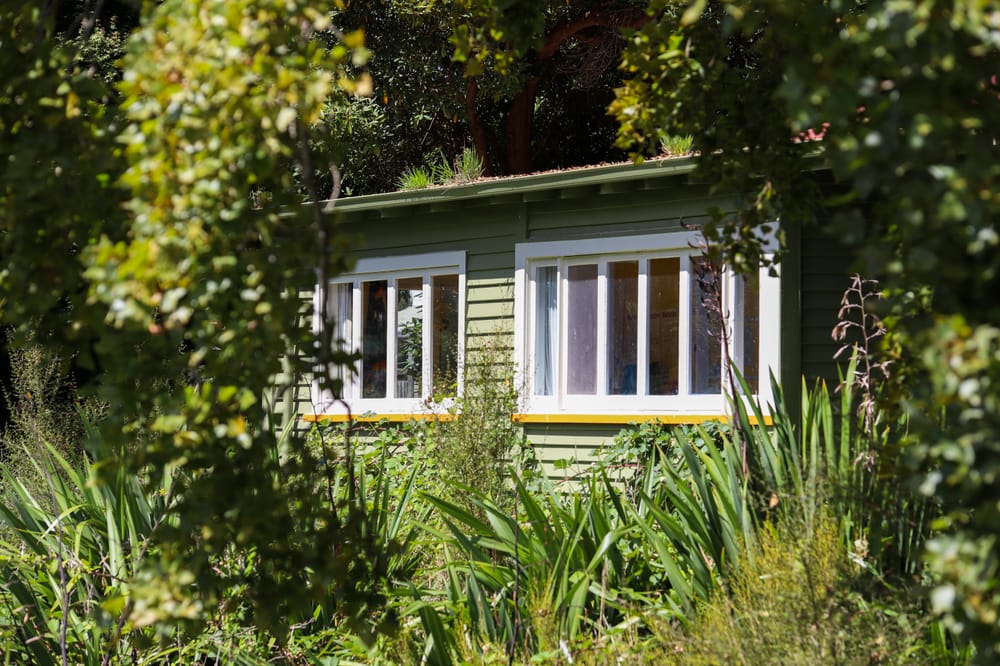 Green House in Overgrown Garden post image