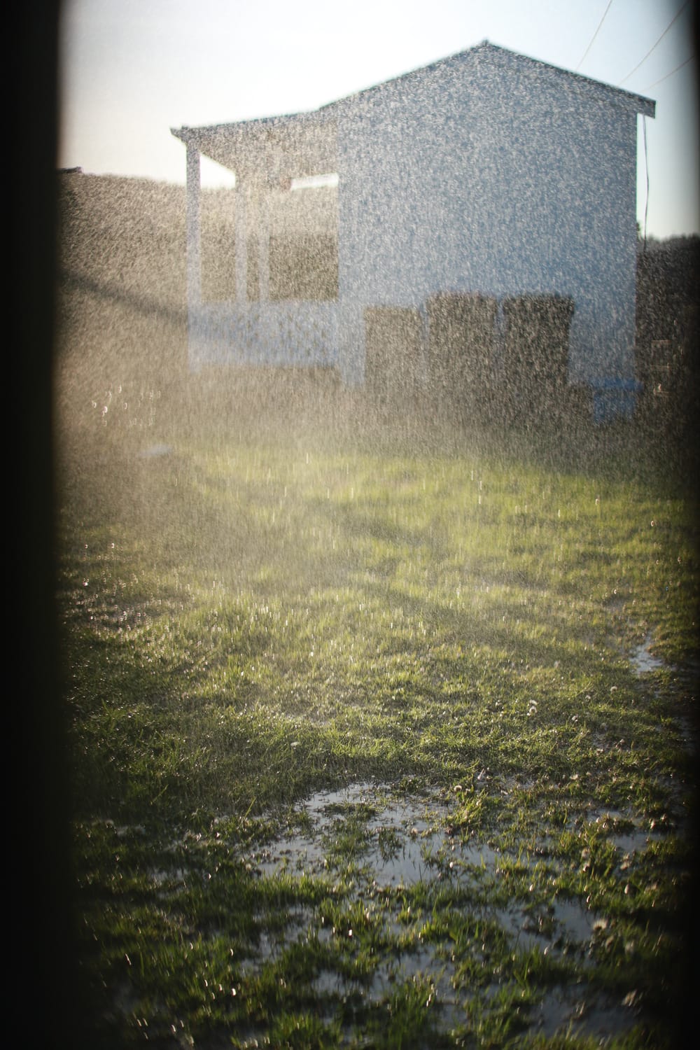 House View post image