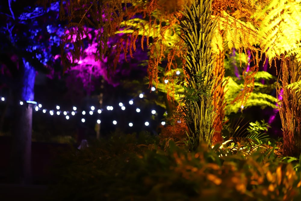 Multicolored lights post image