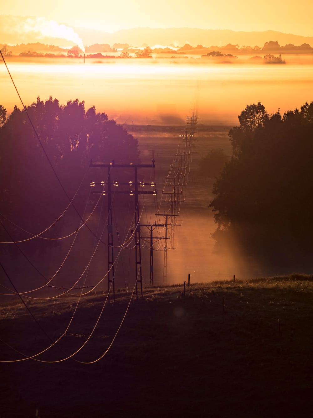 Rural View Fog Golden Light Powerlines post image