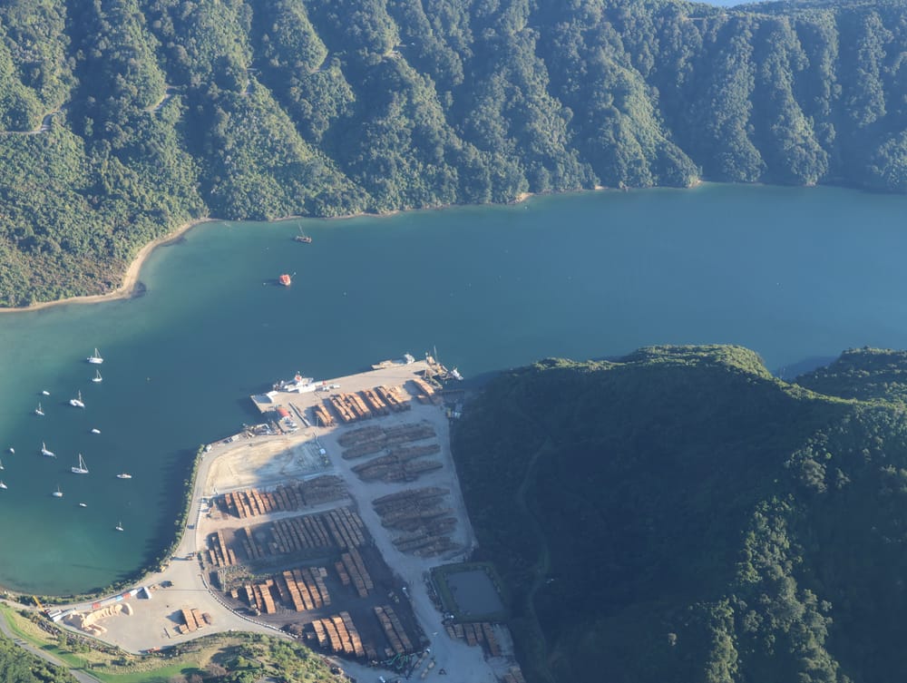 Shakespeare Bay, Log Terminal post image