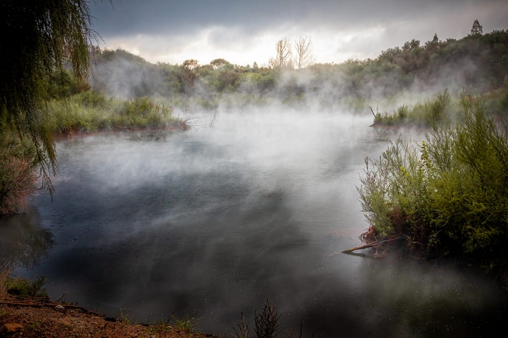Steamy Waters Waimangu Valley post image