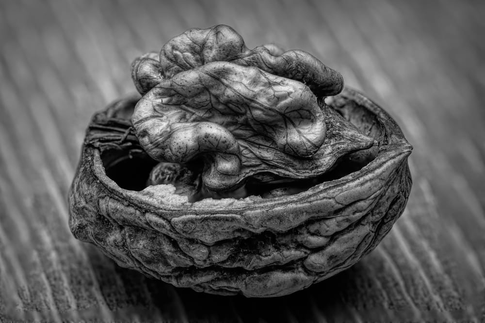 Walnut post image