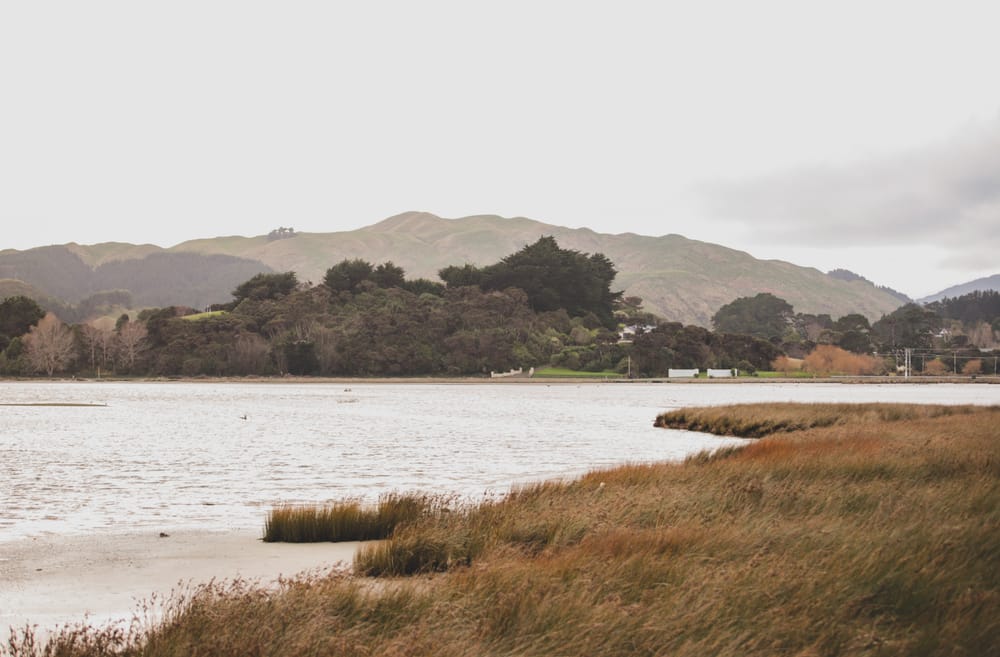 Water, Grasses & Hillside Calm post image