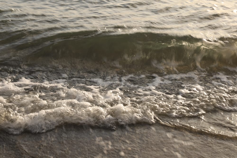 Wave Foam post image
