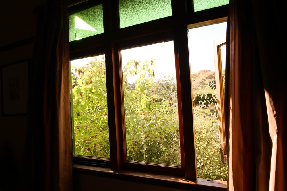 Window View with Sunlight post image