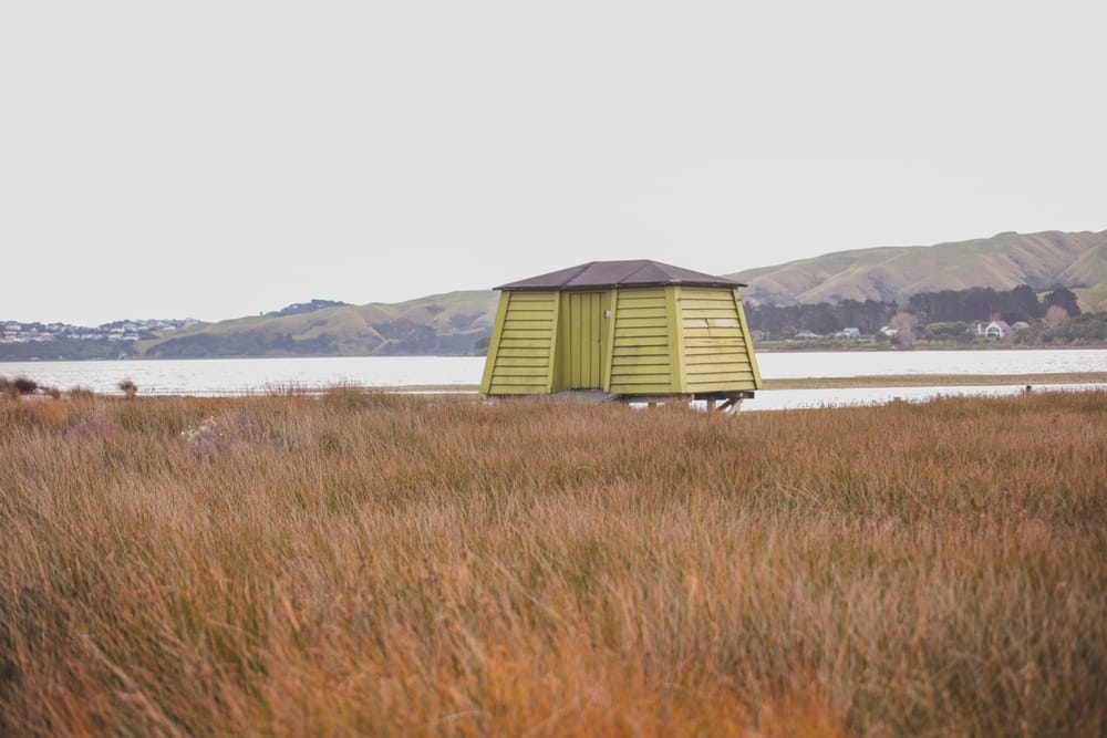 Yellow Hut post image