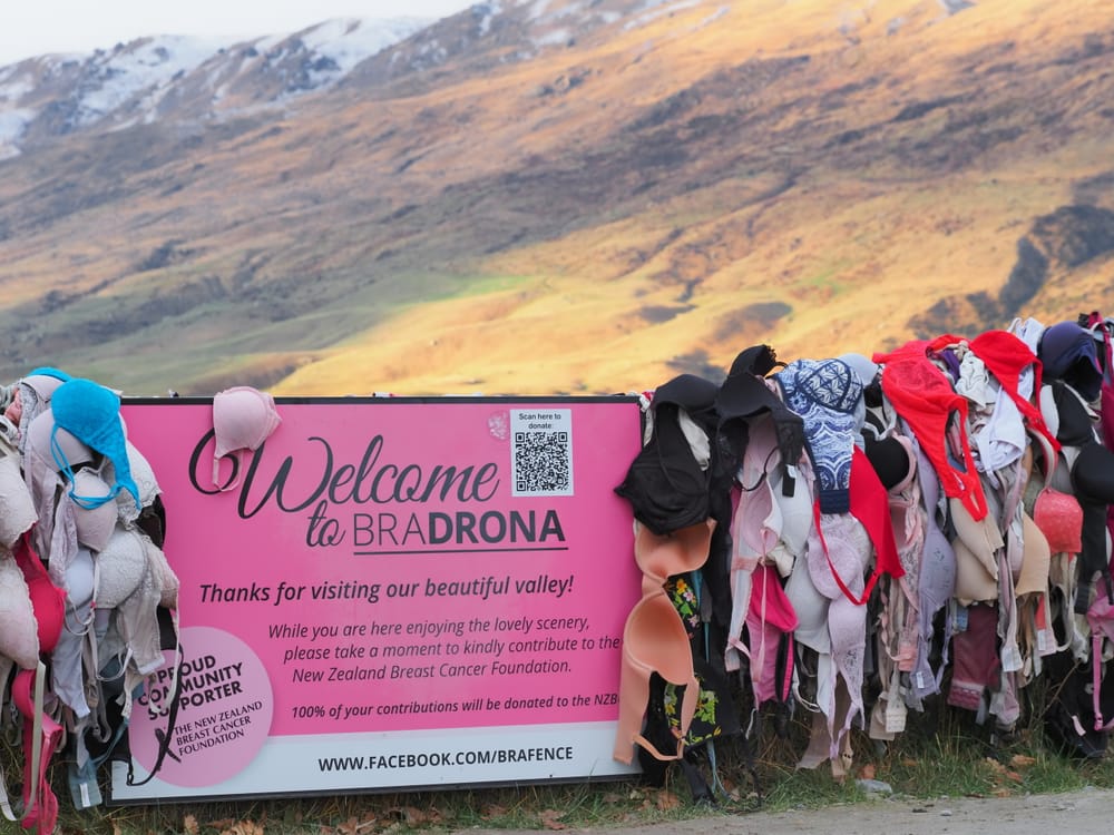 Bradrona brafence Cardrona post image