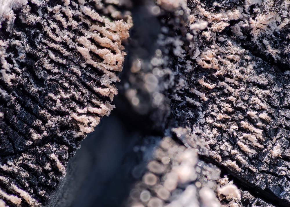 Burnt Wood post image