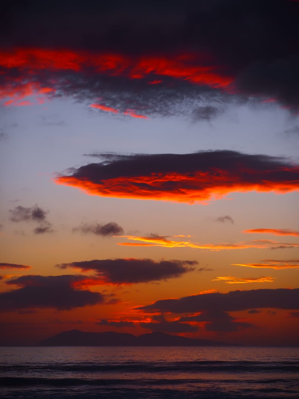 Mayor Island post image