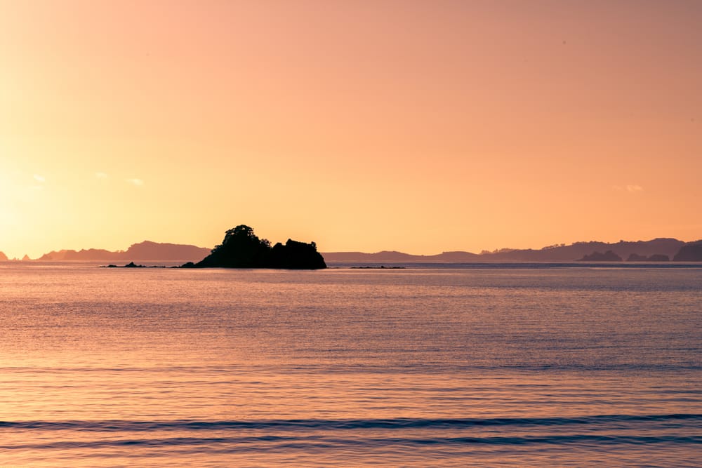 Early morning post image