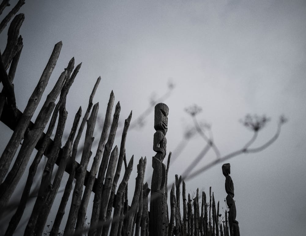 Fence at Ōtātara Pā with carved figures post image
