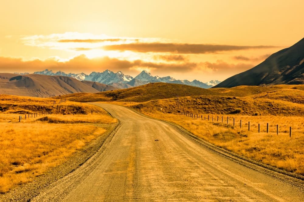 Hakatere Conservation Park post image