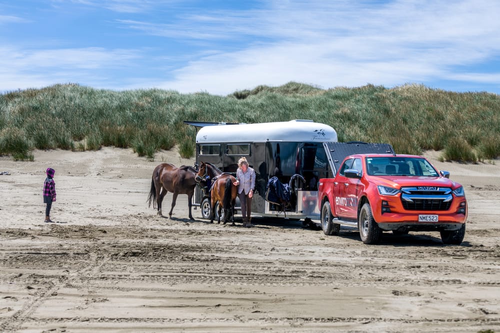 Horses at the beach post image