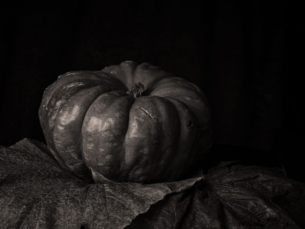 Pumpkin post image
