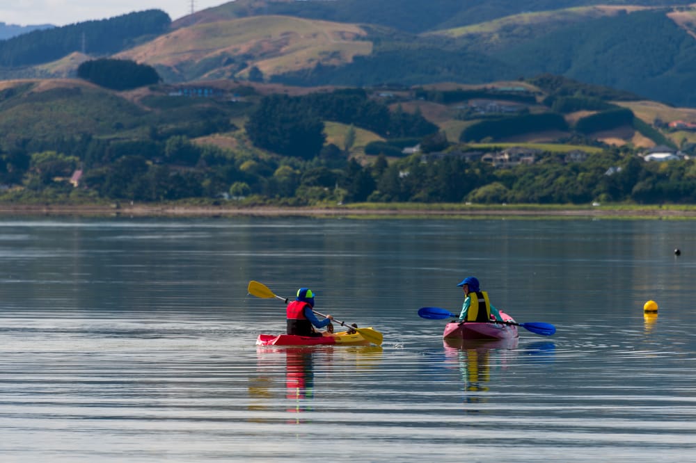 Paddlers Pauatahanui Harbour post image