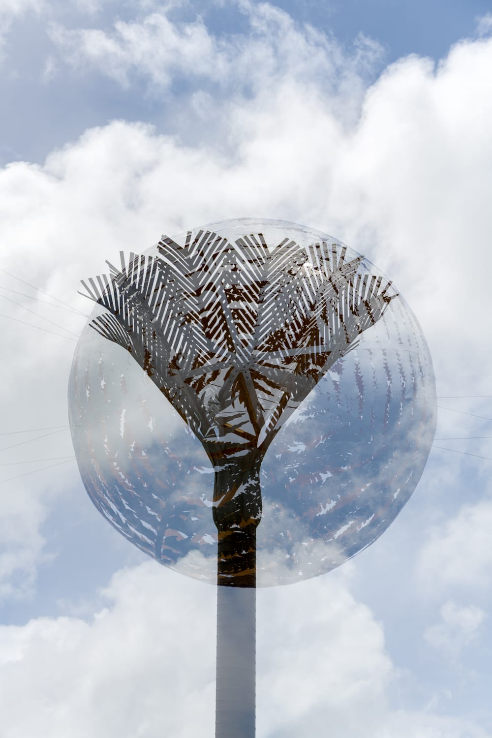 Palm tree with fern ball post image