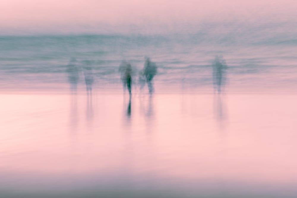 People Wenderholm post image