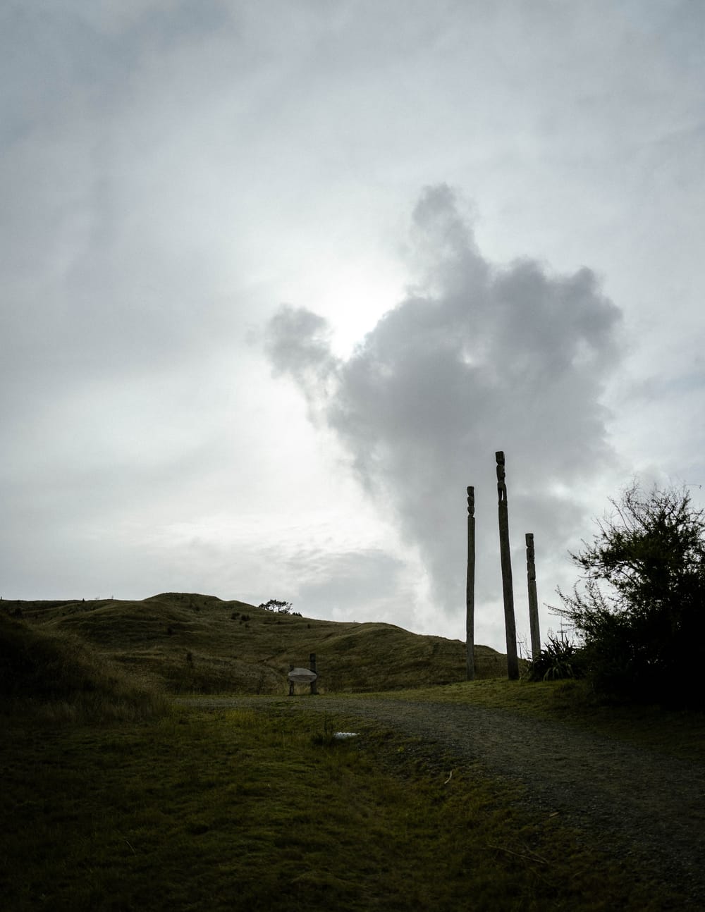 Pouwhenua at Ōtātara Pā post image