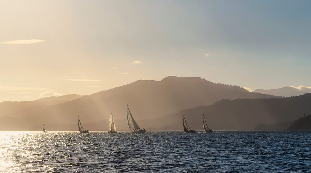 Race night post image