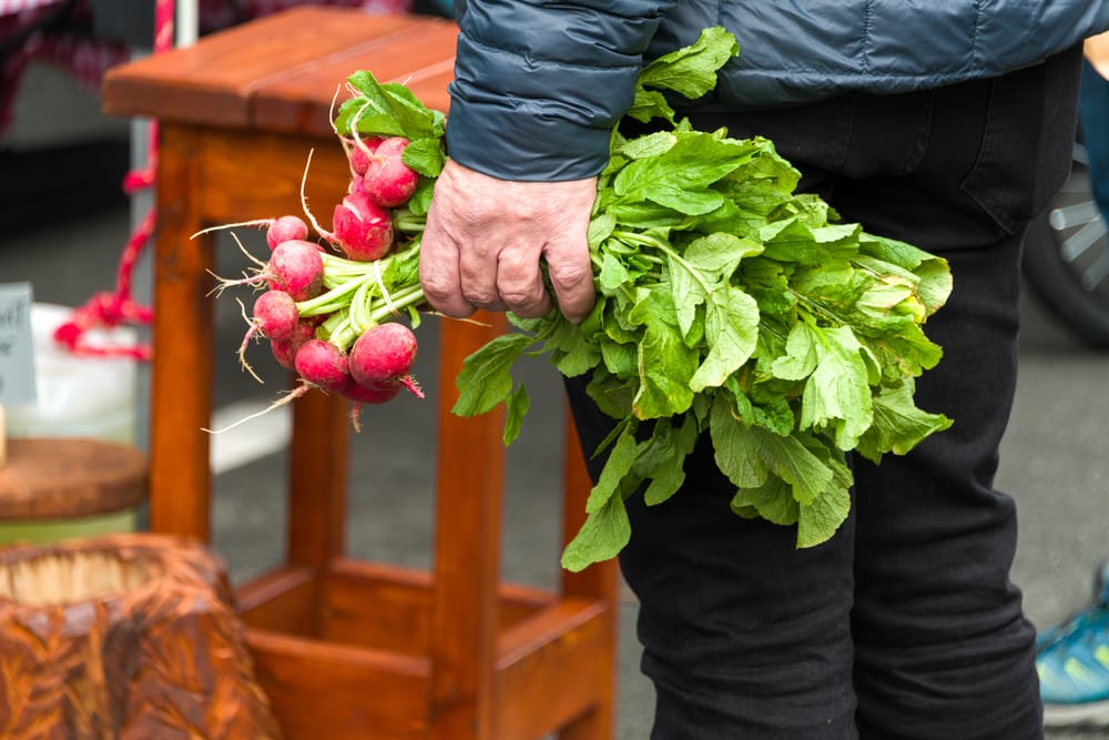 Radishes at the market post image