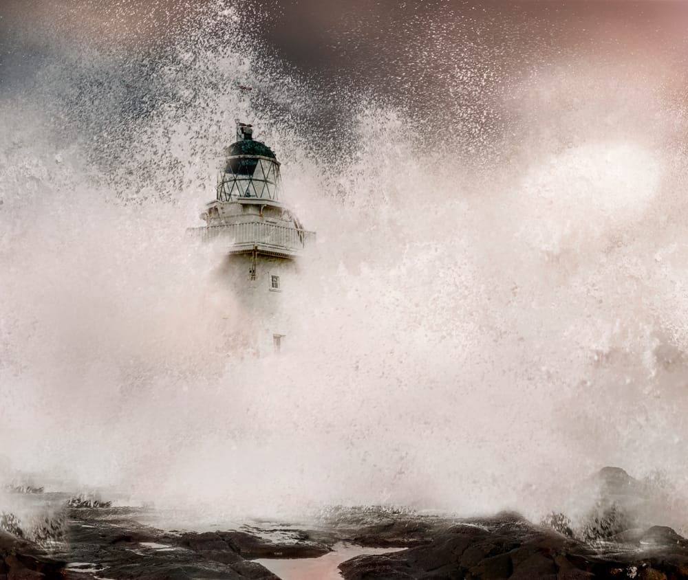 Stormy days in Southland post image