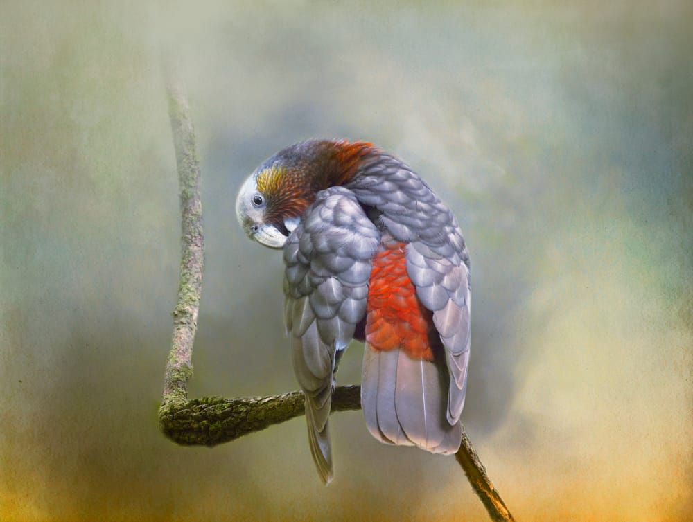 Striving for perfection post image