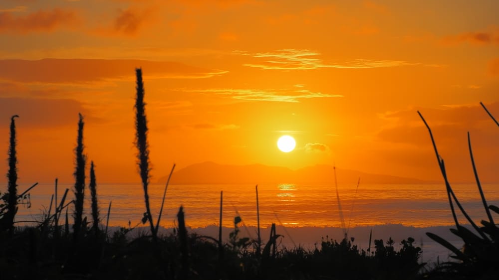 Sunrise Mayor Island post image