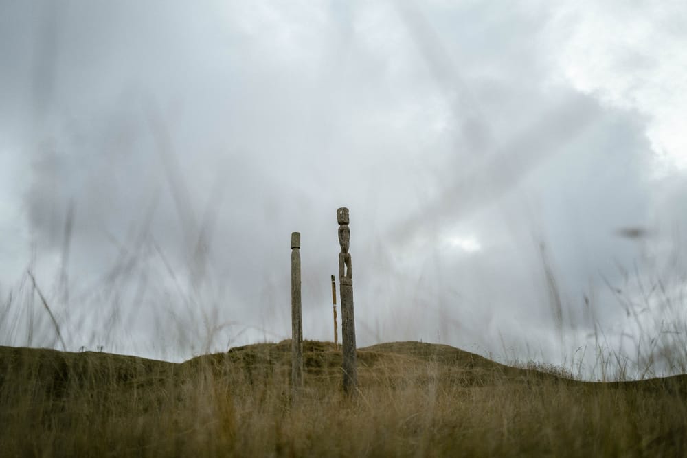 Three pouwhenua in windswept grass at Ōtātara Pā post image