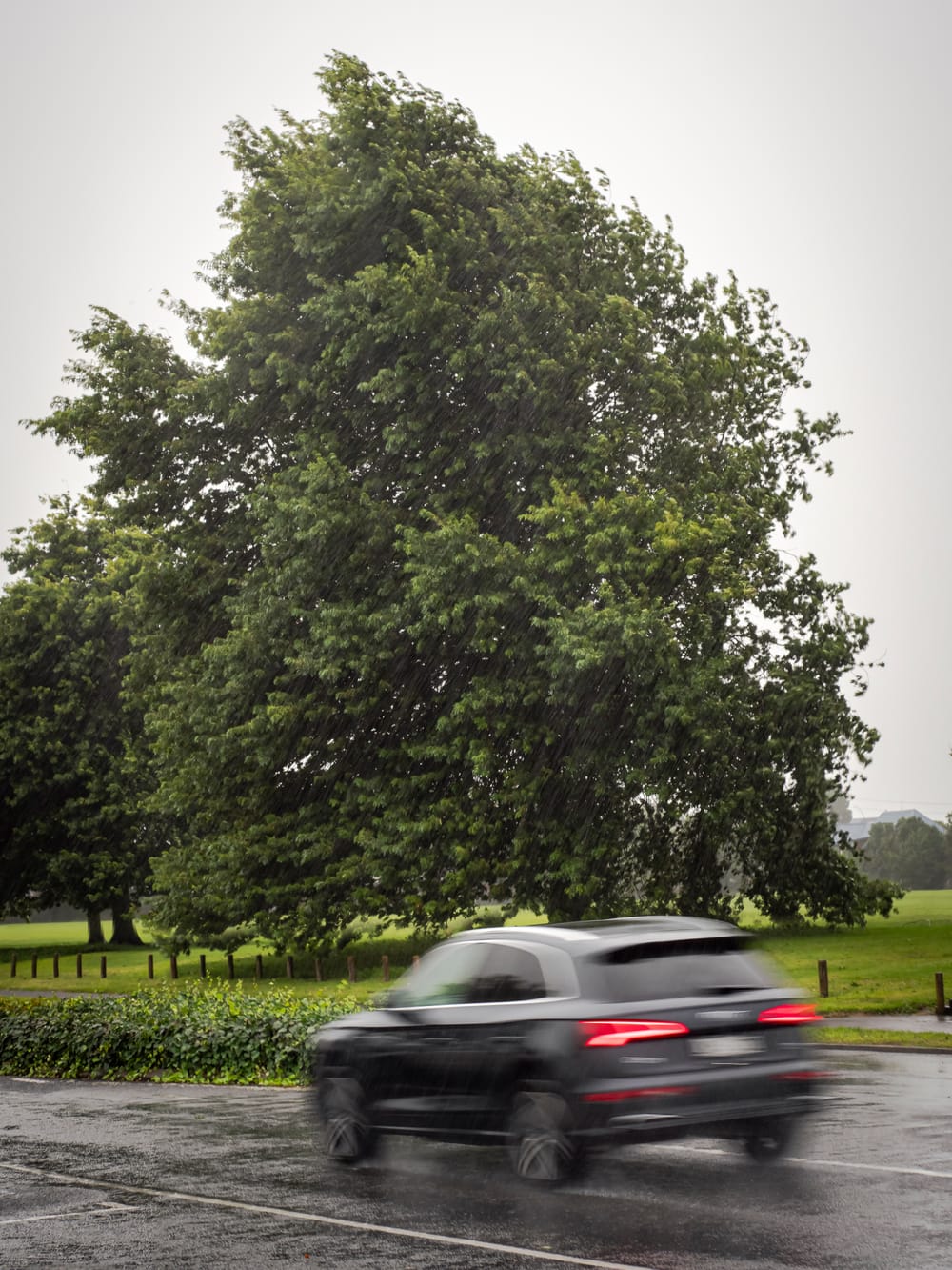 Storm weather post image