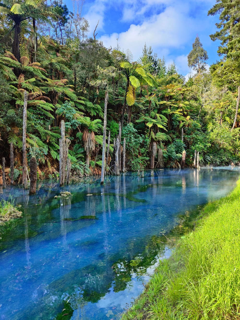 Otumuheke Stream post image