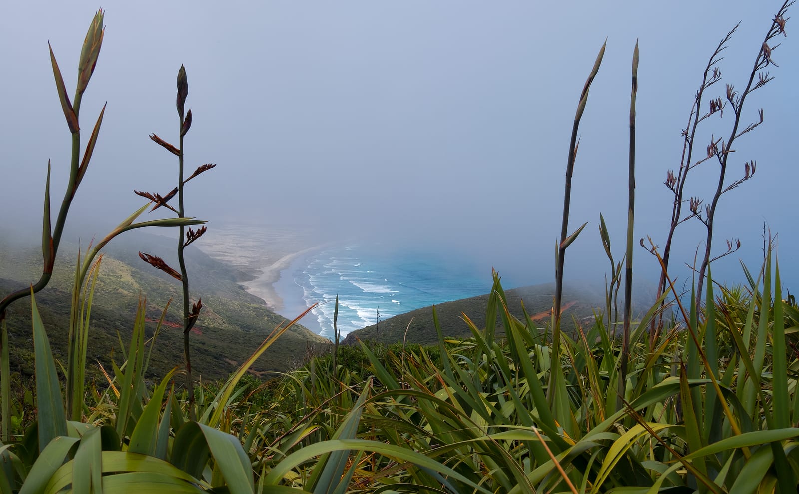 Cape Reinga page feature image