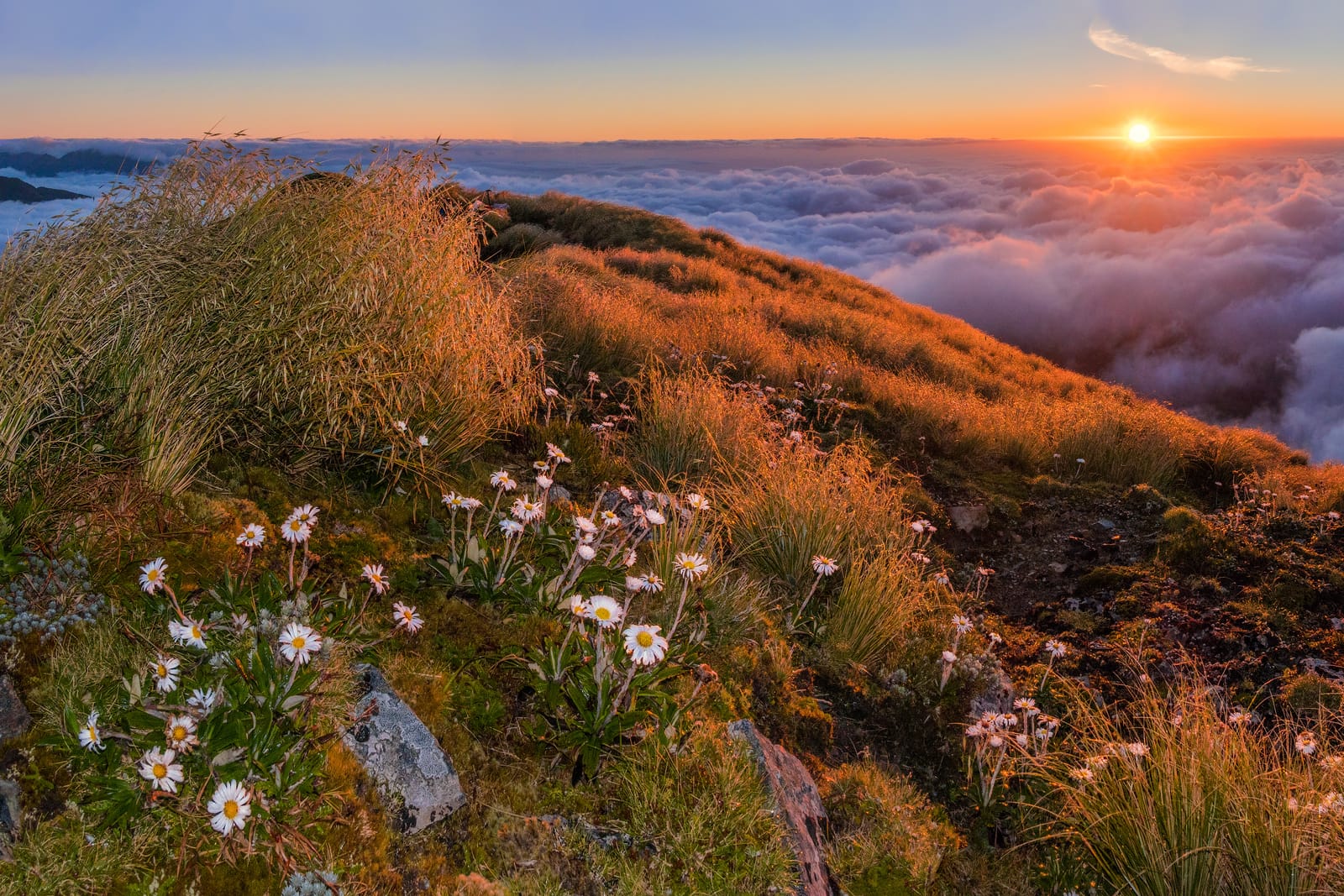 Dawn, Neill Ridge to Winchcombe Peak